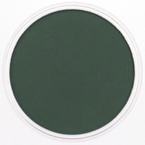 PANPASTEL 9ml Permanent Green Extra Dark
