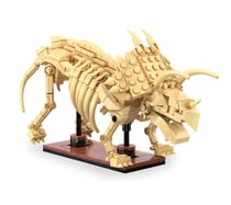 CaDA Fossile dinosaure Tricératops Bricks
