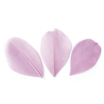 SACHET 3 Gr PLUMES COUPEES ROSE PALE  Ht.60