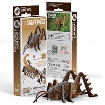 Sauterelle – Eugy 3D
