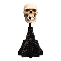 Le Seigneur des Anneaux - Statuette Skull of a Mordor Orc 14 cm