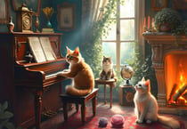 Puzzle 1000 pièces - Concerto Félin - Bluebird Puzzle