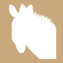 2 pochoirs kraft zèbre 20x20cm - Artemio