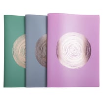 Protège-documents en PP recyclé semi-rigide Ellipse 80 vues - A4 - Couleurs assorties - x 12 - Exacompta