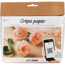 Mini kit DIY fleurs en papier crépon - Oeillets