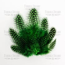Plumes embelissement décoration scrapbooking Fabrika Décoru VERT 012