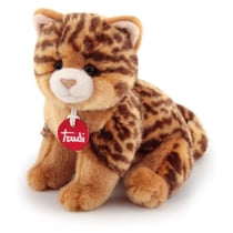 - Chat Brad Animalier