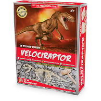 Kit Paleo - Vélociraptor - Ulysse
