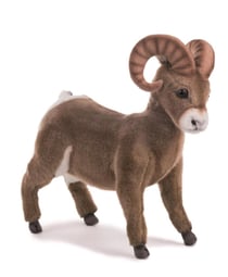 Animal Peluche Mouflon 25 cml