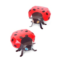 COCCINELLES
