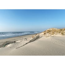 Tableau sur toile dune littoral 65x97 cm