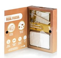 Kit de fouille de fossiles
