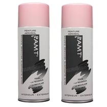 Lot de 2 sprays de peinture - dragée - AMT
