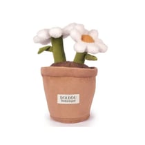 Doudou Botanic - Marguerite 25cm