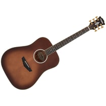 Excel Lexington Autumn Burst D'Angelico