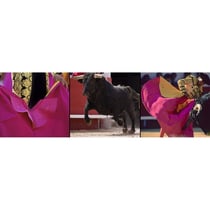 Tableau sur toile Tauromachie 30x97 cm