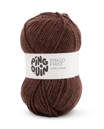 PINGO FIRST