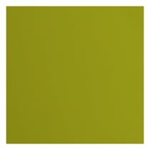 Papier cartonné texturé Florence - Fern - 20 feuilles - 30,5 x 30,5 cm - 216 g/m²