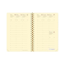 PLANNING 16 SPIRALÉ PRESTIGE FR Recharge - 9x16 cm - Semainier - 12 mois et 1/2 de mi-décembre à décembre