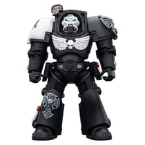 Warhammer 40k - Figurine Raven Guard Terminator 1 with Power Sword and Storm Bolter 14 cm - Joy Toy (CN)