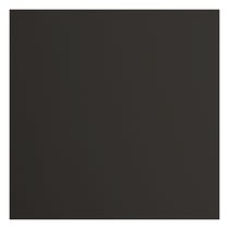 Papier cartonné noir - 30,5 x 30,5 cm - 216 g - Lisse - Florence - 20 feuilles