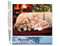 Peinture par Numéro Figured'Art - Sieste entre amis - Kit de Loisir Créatif DIY Numéro d'Art Complet - 40x50cm sans châssis en bois