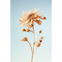 Tableau sur toile fleur 30x45 cm
