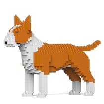 Chien Bull Terrier roux Taille standard | JEKCA | 14 ans et +