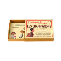 Marc Vidal - J'apprends à reconnaître les champignons