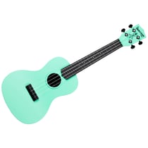 Waterman Soprano Green Kala