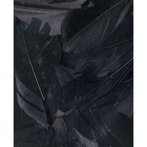 PLUMES NOIRES - 6 CM