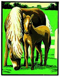 Kit canevas blanc Jument et son poulain 20x25cm