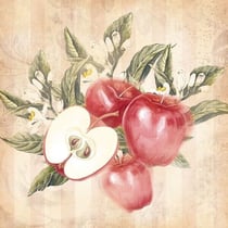 Lot de 4 serviettes en papier découpage collage 33 cm FRUIT POMME