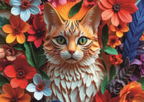 Puzzle 1000 pièces - Chat - Trefl