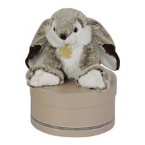 Lapin Marius 30cm avec boite