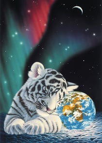 Puzzle 1000 pièces - Schim Schimmel - Earth Light - Grafika