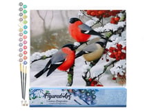 Peinture par Numéro Figured'Art - Rouge gorge sous la neige - Kit de Loisir Créatif DIY Numéro d'Art Complet - 40x50cm sans châssis en bois
