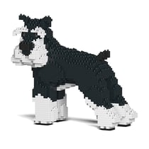 Chien Schnauzer Moyen qui tourne la tête noir et blanc Taille standard | JEKCA | 14 ans et +