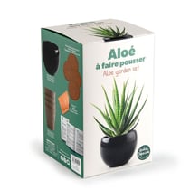 Kit Aloe Vera