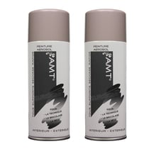 Lot de 2 sprays de peinture - taupe - Amt