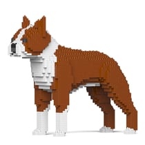 Chien Boston Terrier marron Taille standard | JEKCA | 14 ans et +