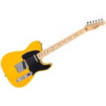 Standard Telecaster MN Butterscotch Blonde Fender