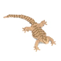 Dragon barbu Taille standard | JEKCA | 14 ans et +