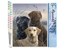 Peinture par Numéro Figured'Art - Trio de labrador - Kit de Loisir Créatif DIY Numéro d'Art Complet - 40x50cm sans châssis en bois