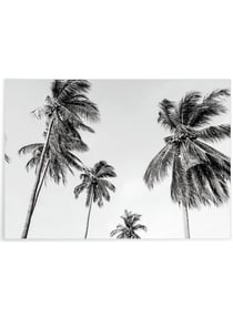 Affiche Palm Trees 8 | A3 : 29,7x42cm