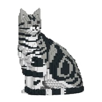 Chat American Shorthair assis | JEKCA | 14 ans et +