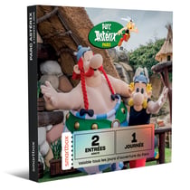 Coffret cadeau Smartbox - Parc Astérix 1 journée - 2 adultes