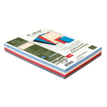 Paquet de 100 couvertures Grain cuir pour reliure A4 - Couleurs assorties - Exacompta