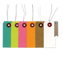 140 étiquettes multicolores 9 x 4 cm + 20 étiquettes kraft Fanion