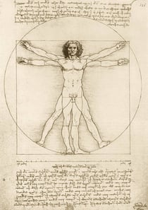 Puzzle 1000 pièces - Leonard De Classiqueci - The Vitruvian Man, 1490 - Bluebird Puzzle